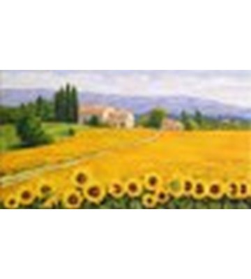 Girasoli